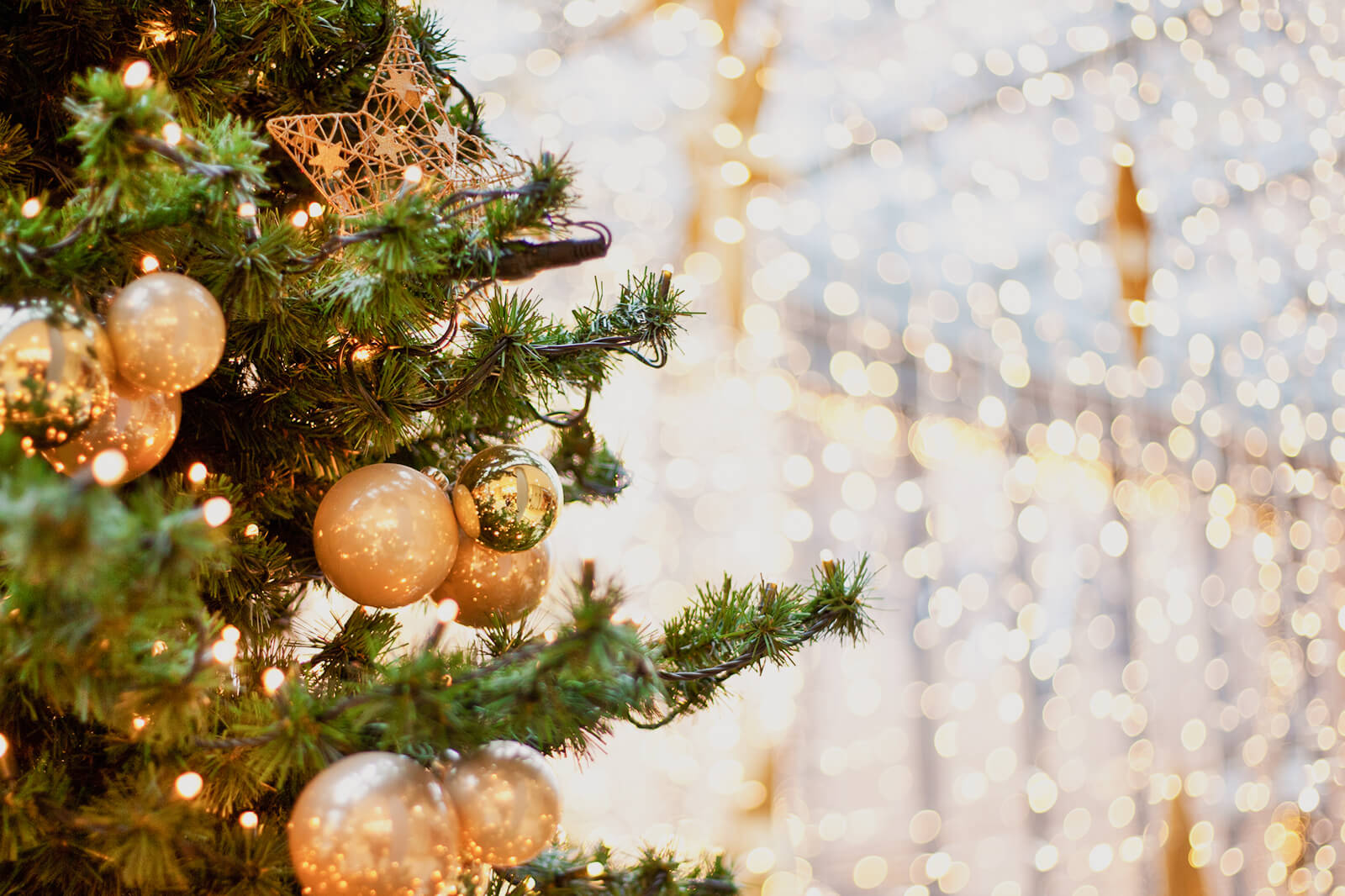 VIDAXL DECOR SHOP -VIDAXL DECOR SHOP 273890 1600x1066 quick history christmas lights